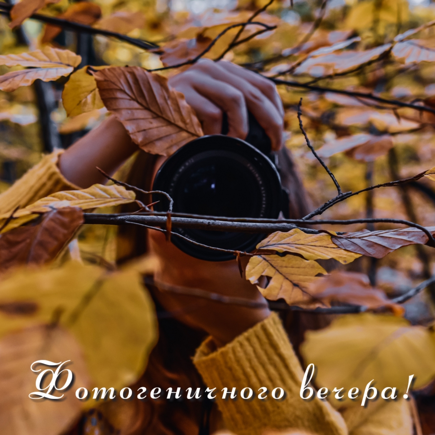 Фотогеничного вечера!