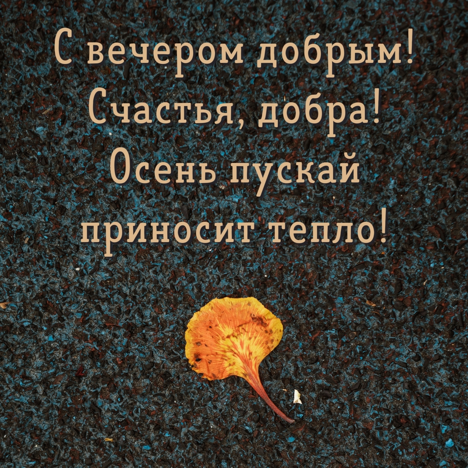 С вечером добрым! Осень пускай приносит тепло!