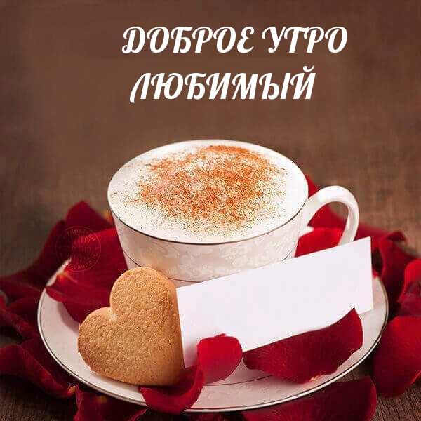 ДОБРОЕ УТРО ЛЮБИМЫЙ