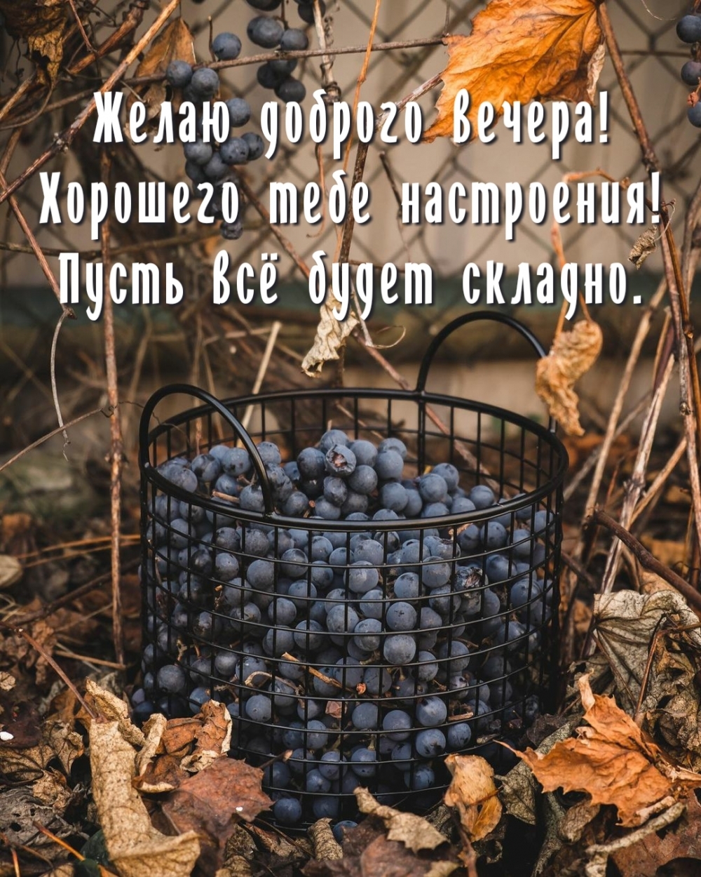 Желаю доброго вечера! Хорошего тебе настроения!