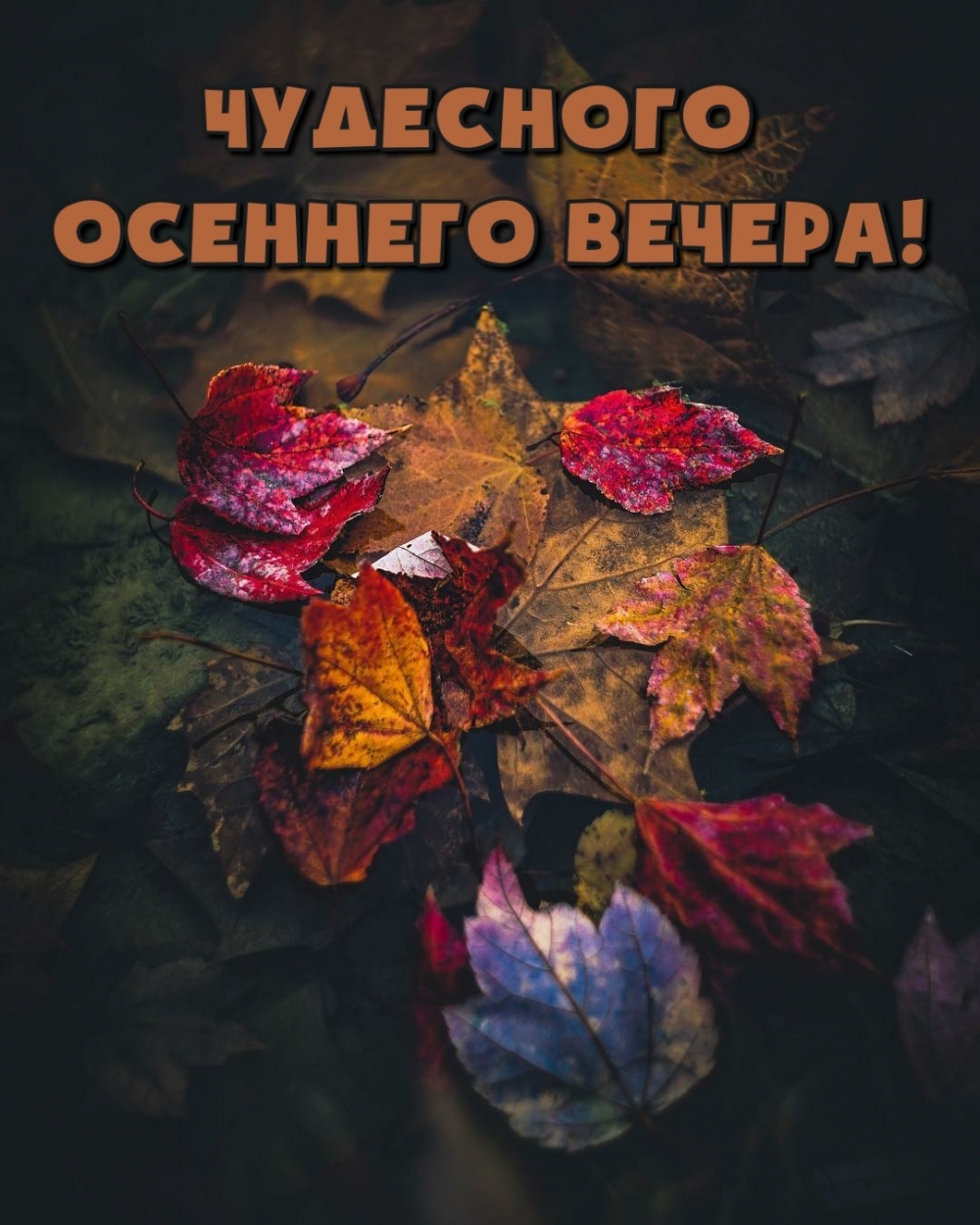 Чудесного осеннего вечера!