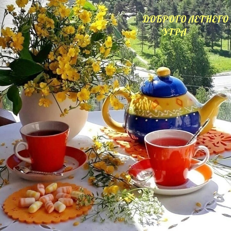 ДОБРОГО ЛЕТНЕГО УТРА