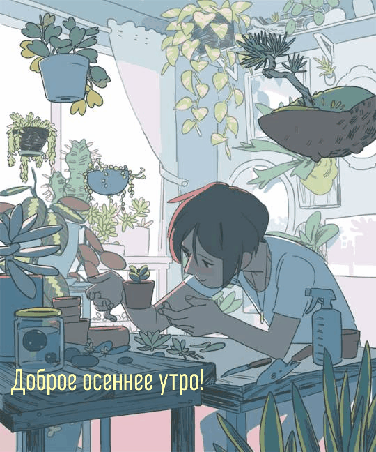 Доброе осеннее утро!