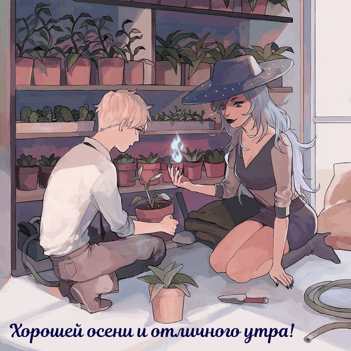 Хорошей осени и отличного утра!