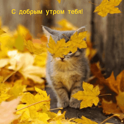 С добрым утром тебя!