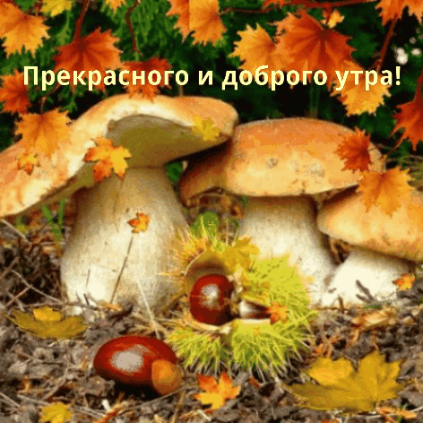 Прекрасного и доброго утра!