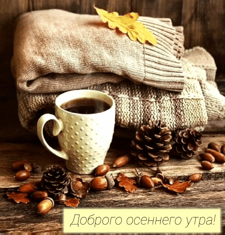 Доброго осеннего утра!
