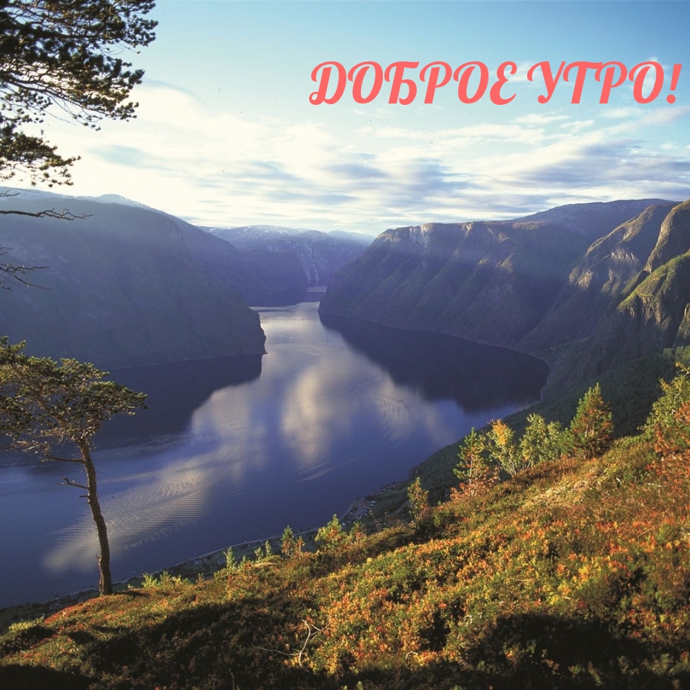 ДОБРОЕ УТРО!
