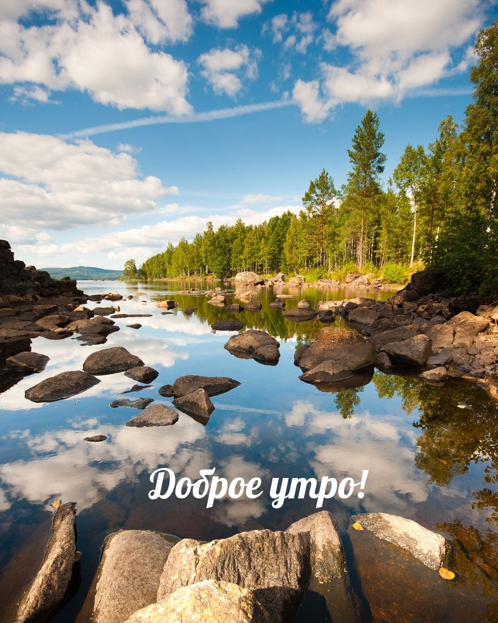 Доброе утро!