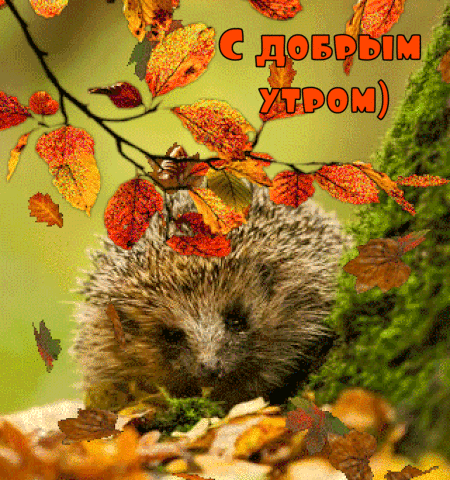 С добрым утром!