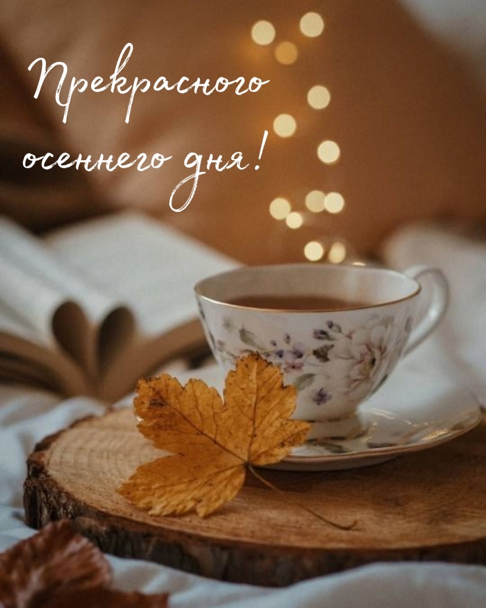 Прекрасного осеннего дня!