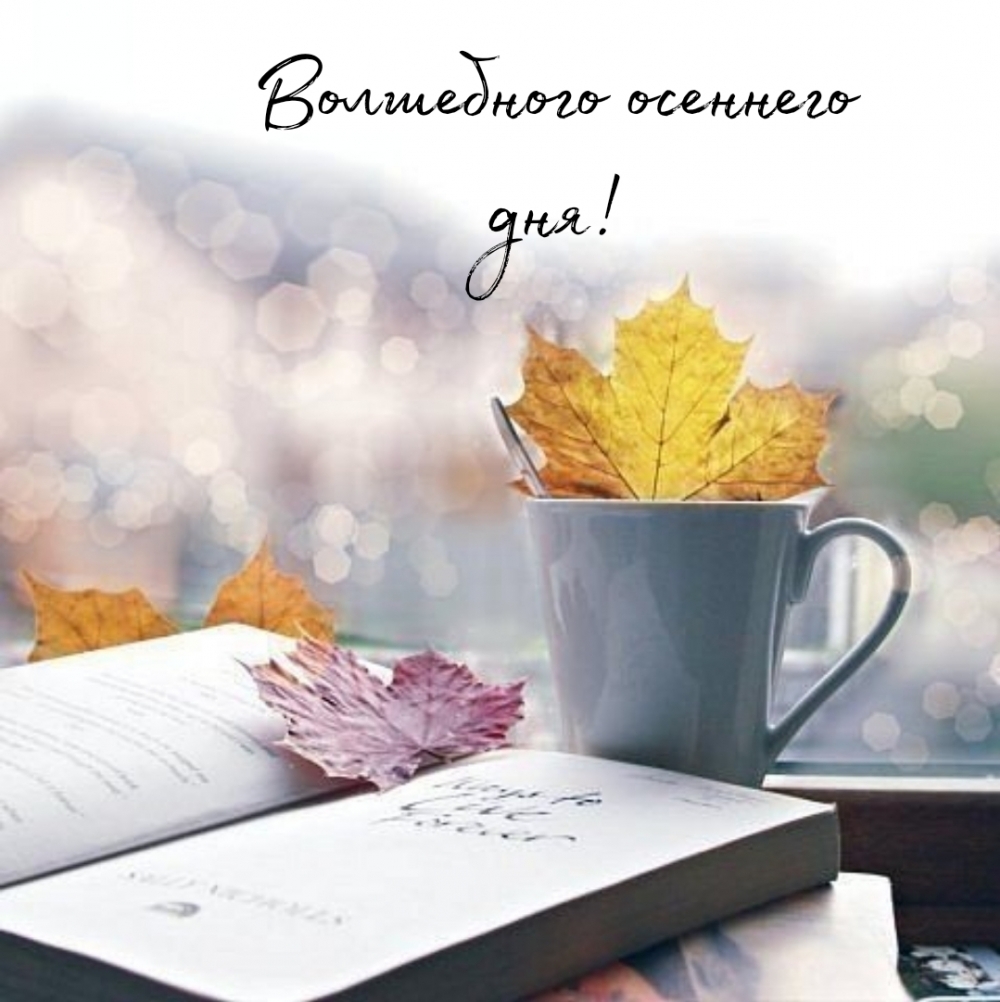 Волшебного осеннего дня!