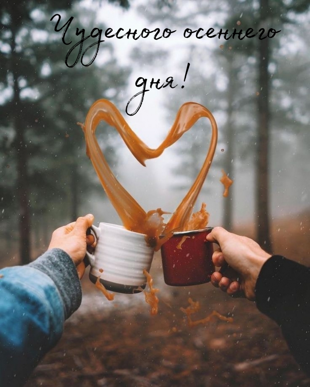 Чудесного осеннего дня!