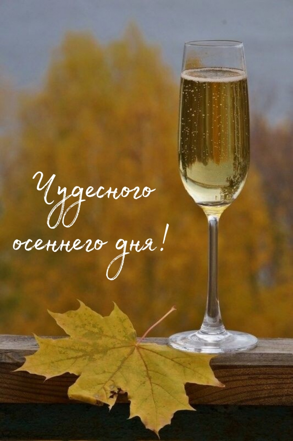 Чудесного осеннего дня!