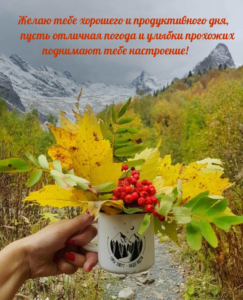 Желаю тебе хорошего и продуктивного дня