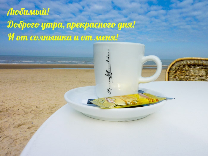 Любимый! Доброго утра, прекрасного дня!