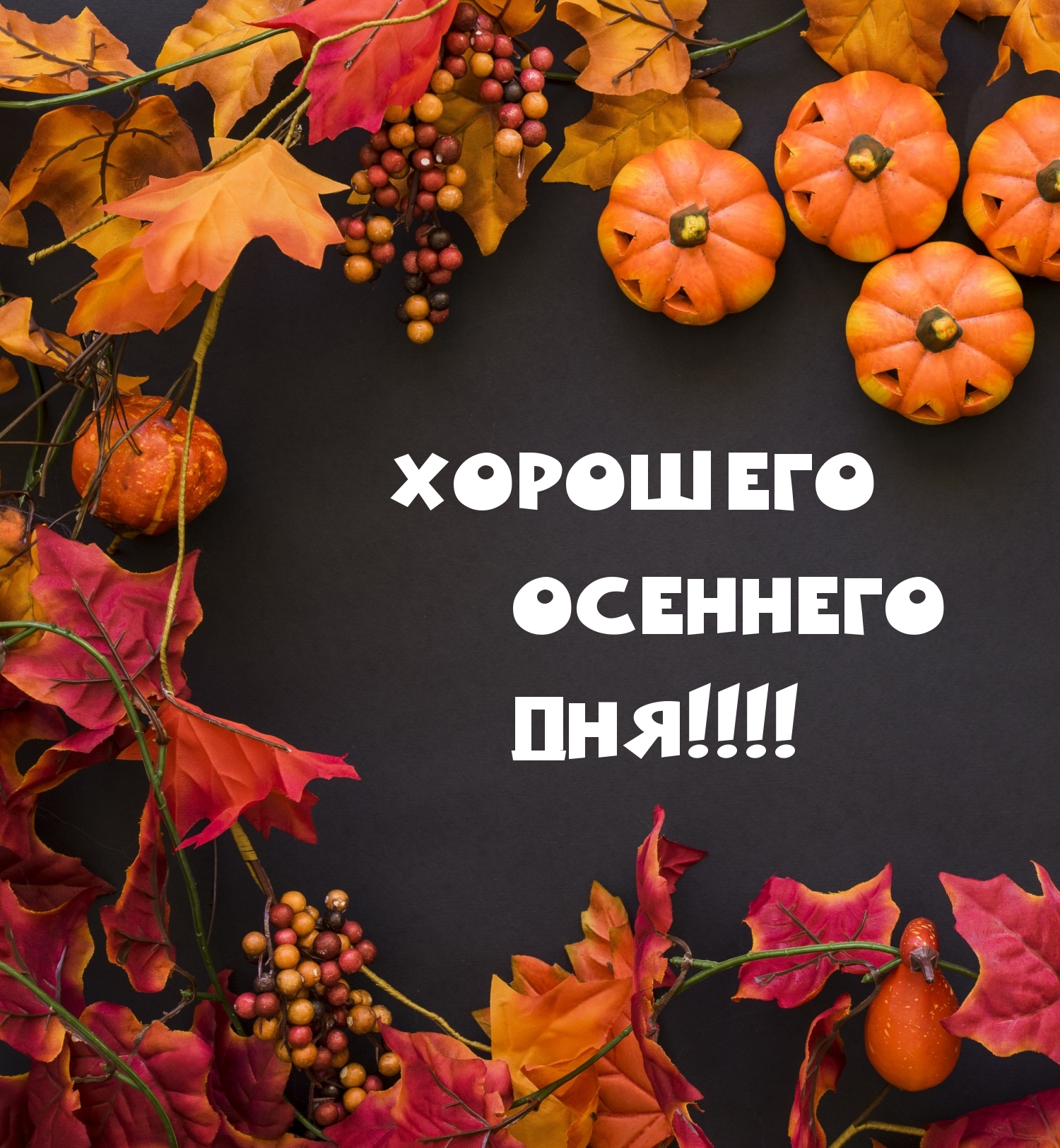 Хорошего осеннего дня!