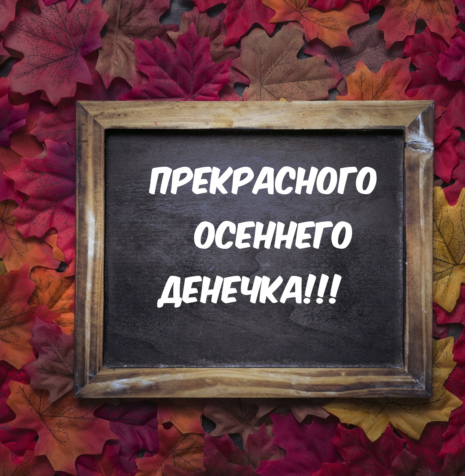 Прекрасного осеннего денечка!