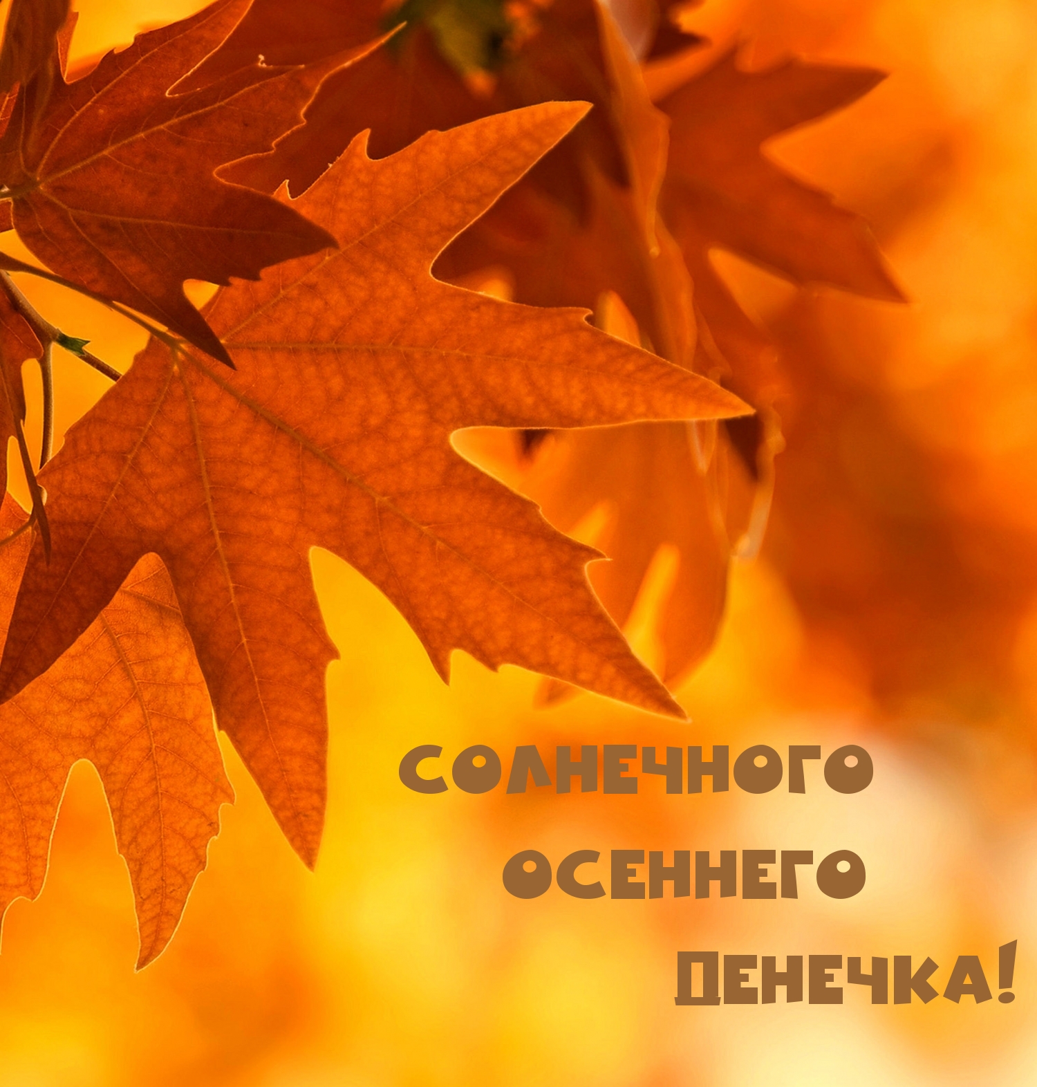 Солнечного осеннего денечка!