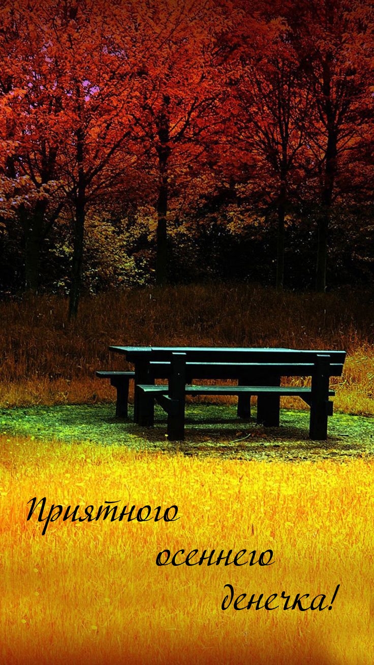 Приятного осеннего денечка!