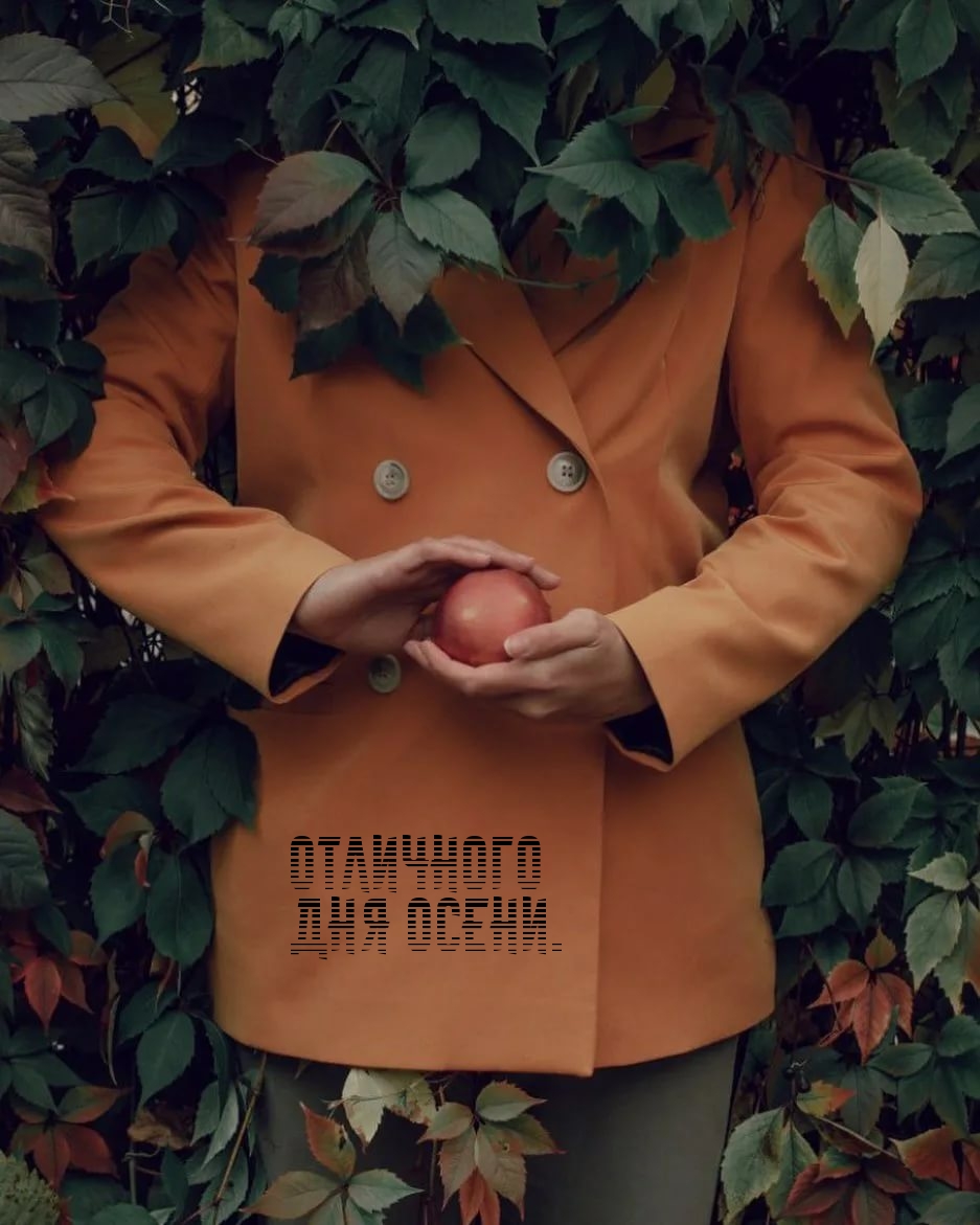 Отличного дня осени.