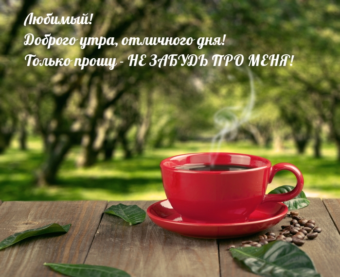 Любимый! Доброго утра, отличного дня!