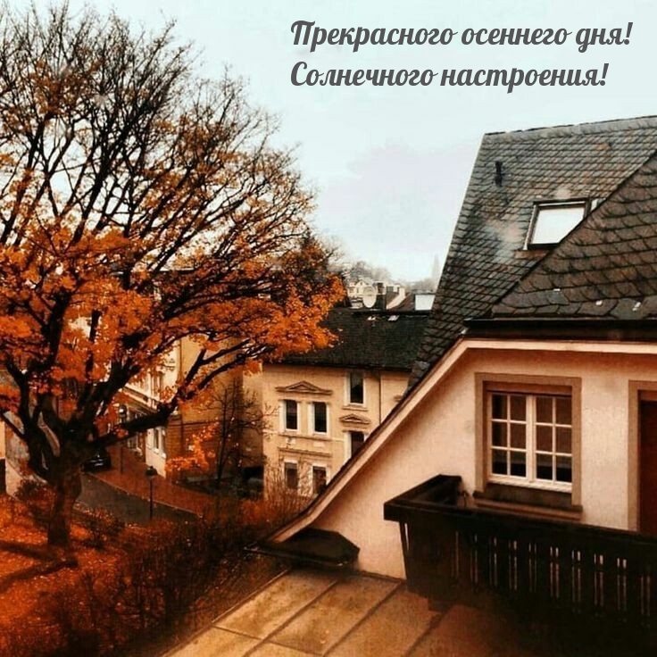 Прекрасного осеннего дня! Солнечного настроения!
