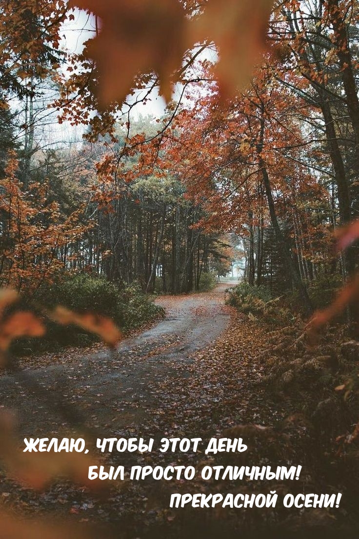 Желаю, чтобы этот день был просто отличным! Прекрасной осени!