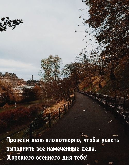 Проведи день плодотворно