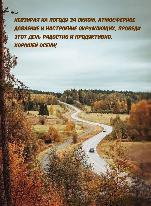 Проведи этот день радостно и продуктивно. Хорошей осени!