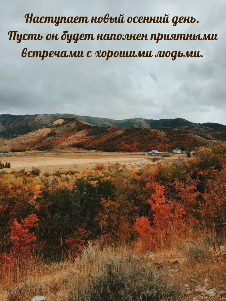Наступает новый осенний день.