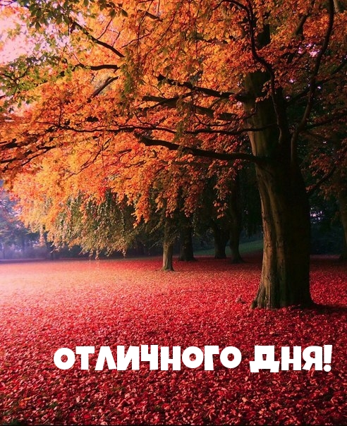 Отличного дня!