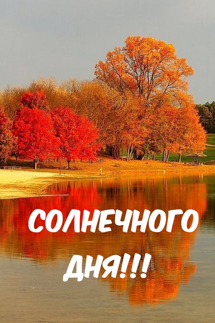 Солнечного дня!