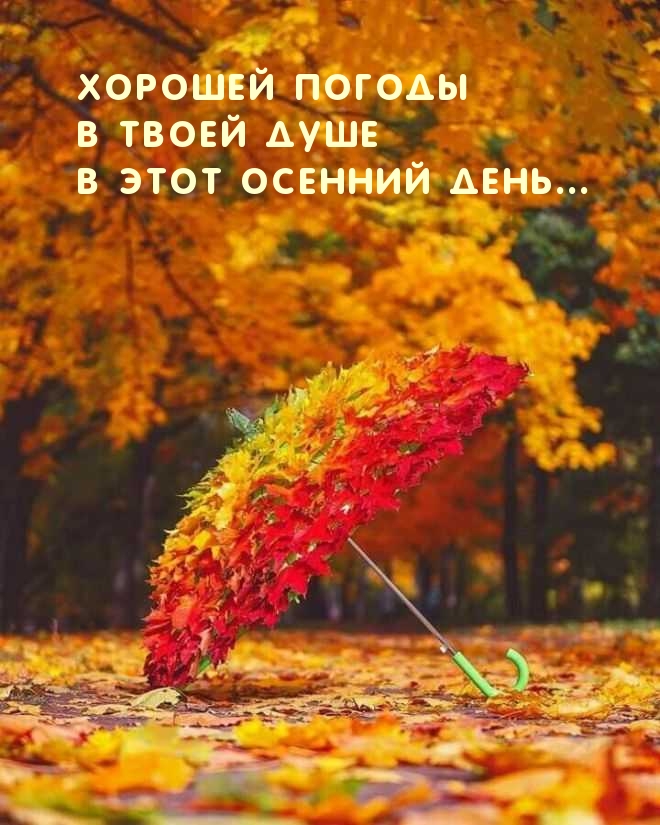 Хорошей погоды в твоей душе в этот осенний день…