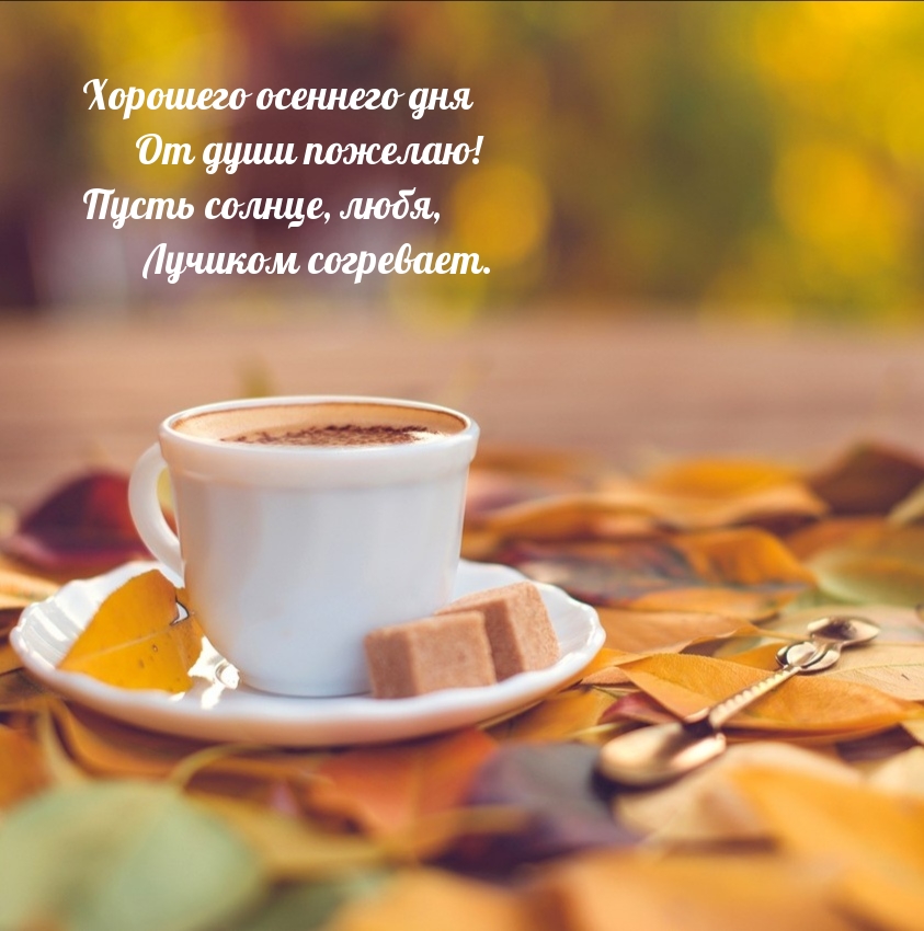 Хорошего осеннего дня от души пожелаю!
