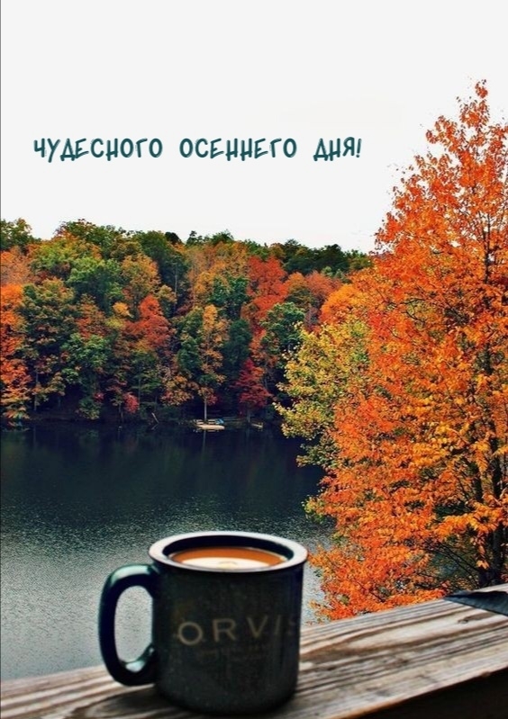 Чудесного осеннего дня!