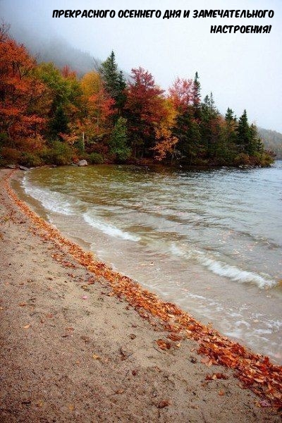Прекрасного осеннего дня и замечательного настроения!