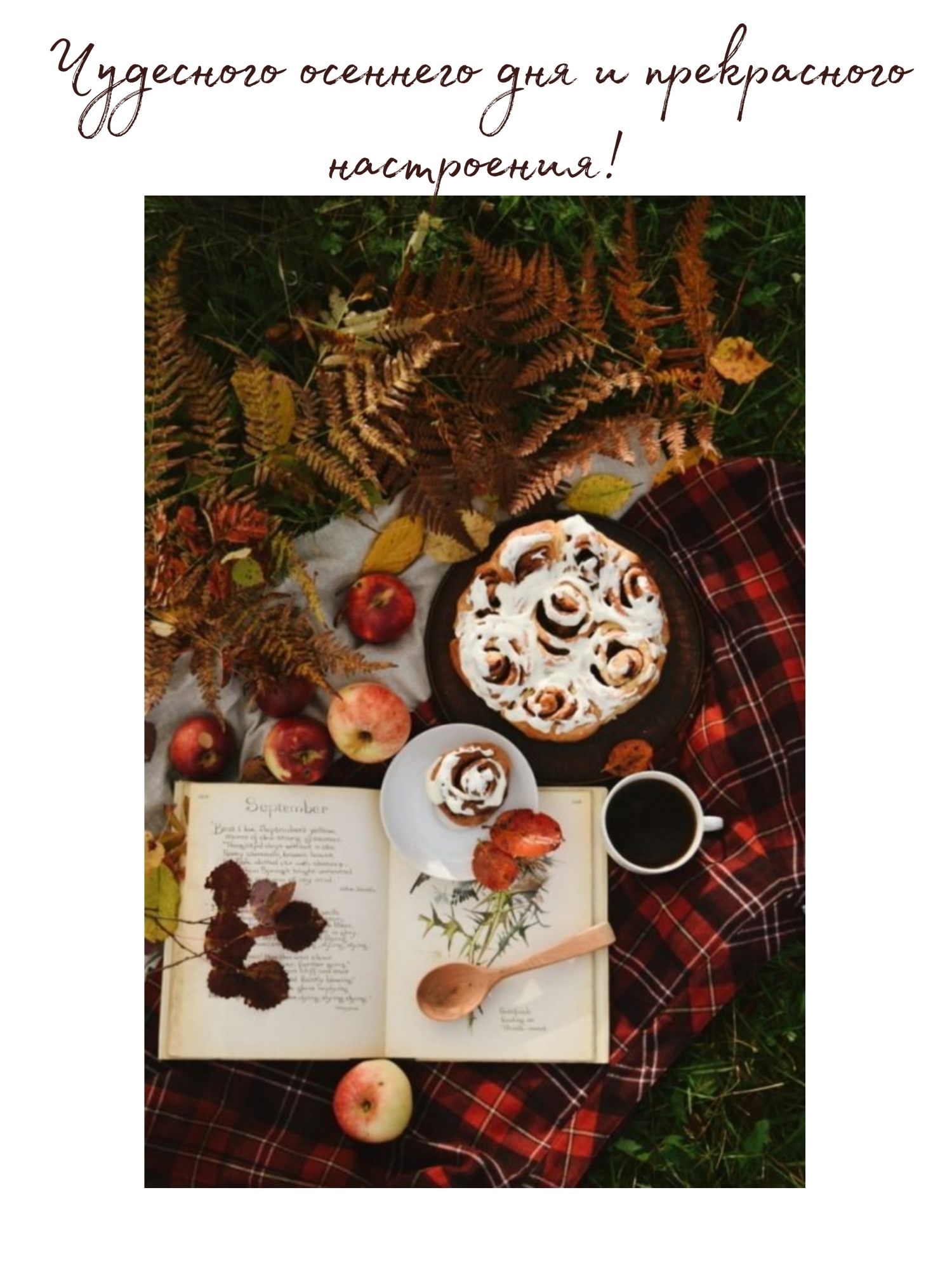 Чудесного осеннего дня и прекрасного настроения!