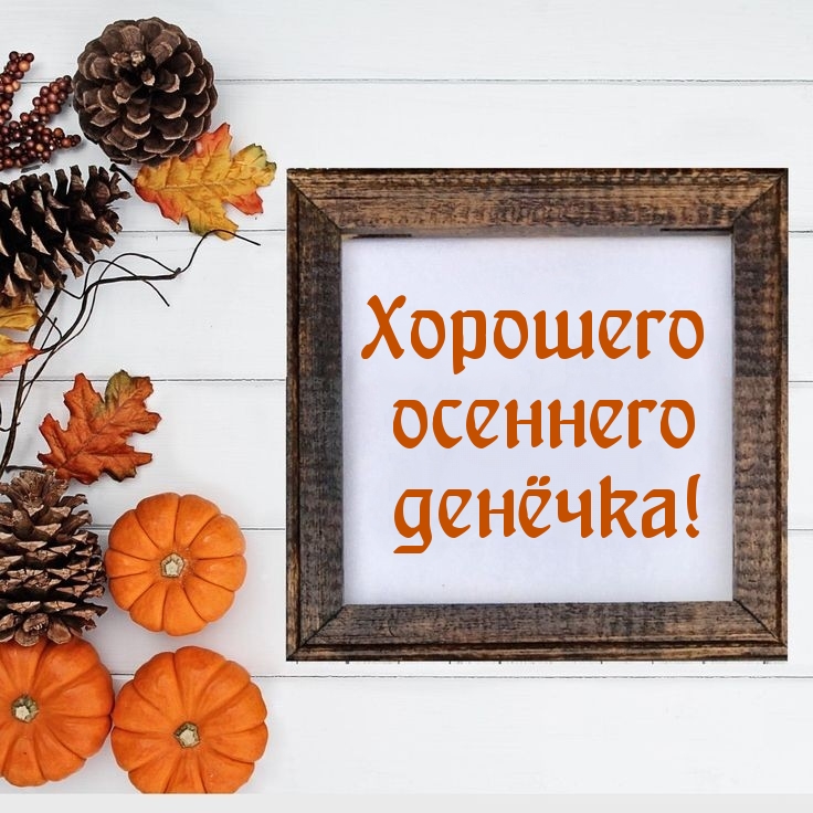 Хорошего осеннего денёчка!