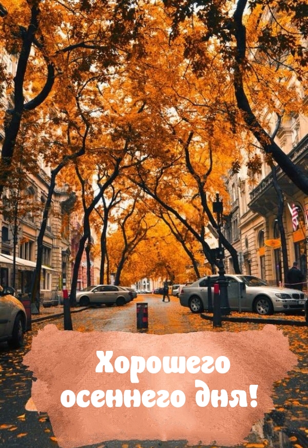 Хорошего осеннего дня!
