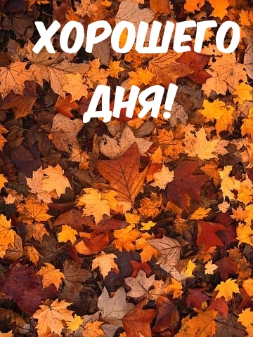 Хорошего дня!