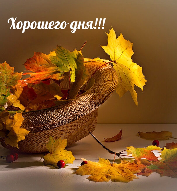 Хорошего дня!