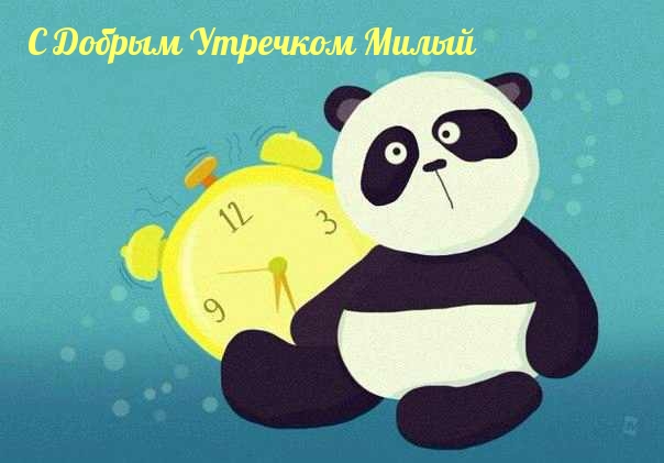 С Добрым Утречком Милый