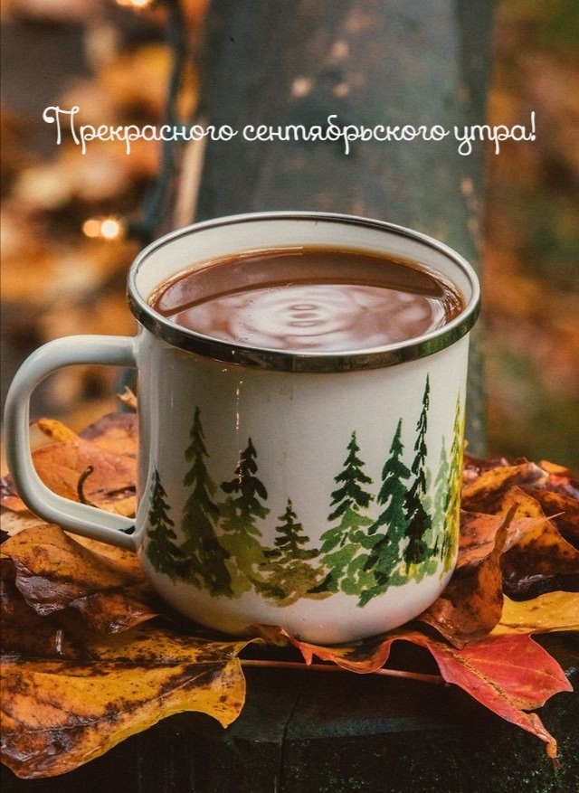 Прекрасного сентябрьского утра!