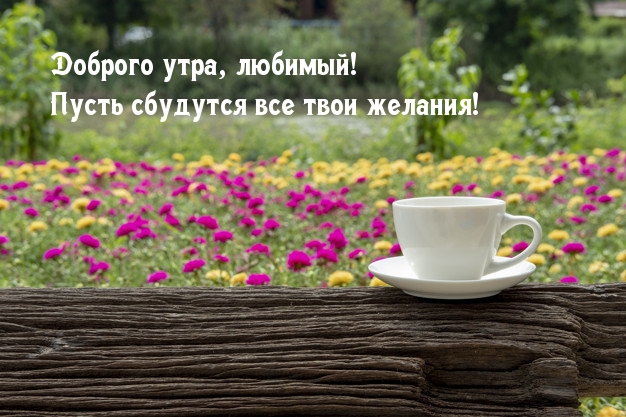 Доброго утра, любимый! Пусть сбудутся все твои желания!