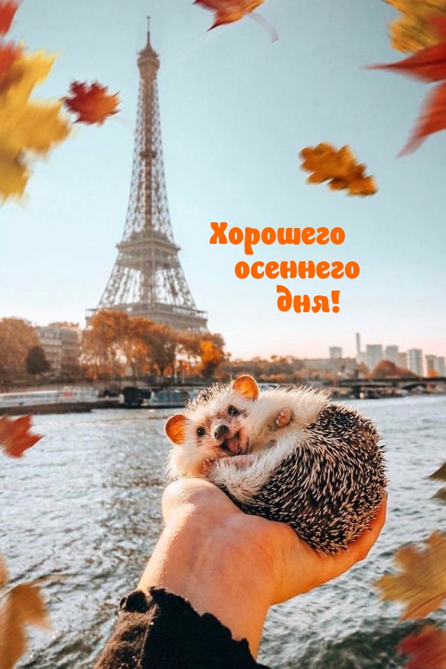 Хорошего осеннего дня!