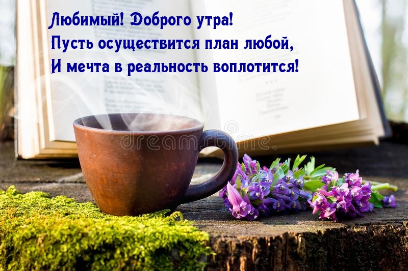 Любимый! Доброго утра!