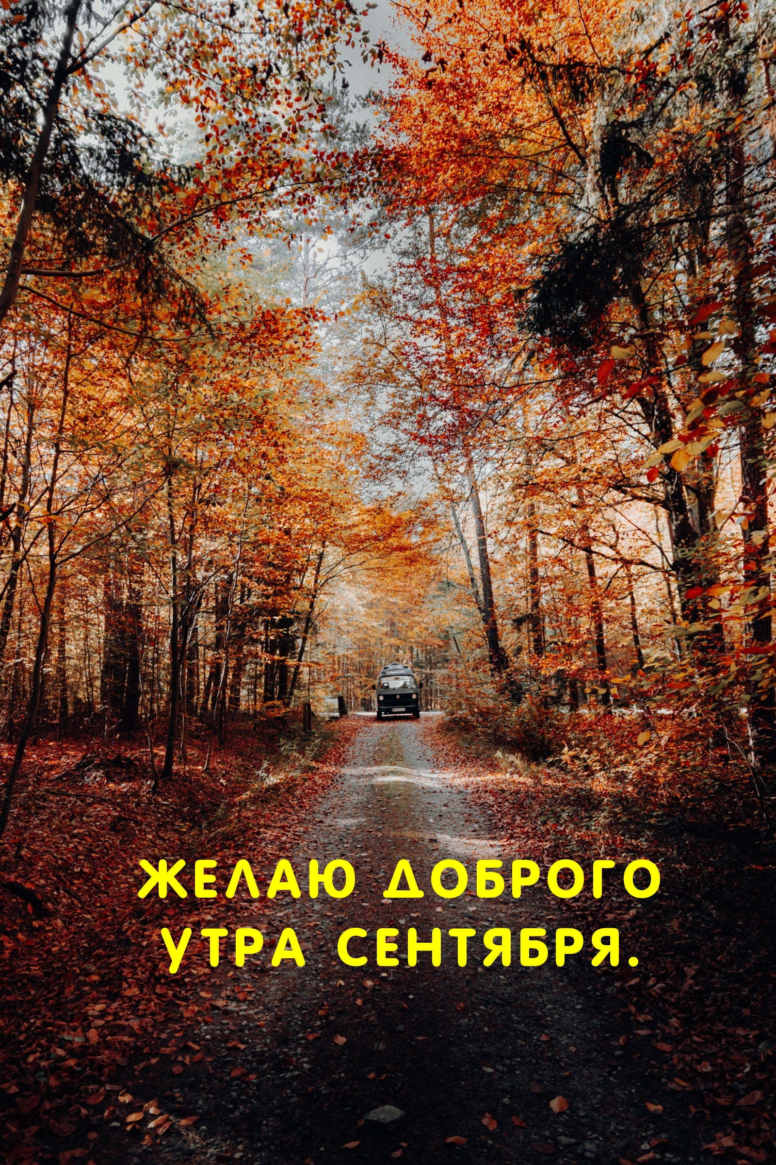 Желаю доброго утра сентября.