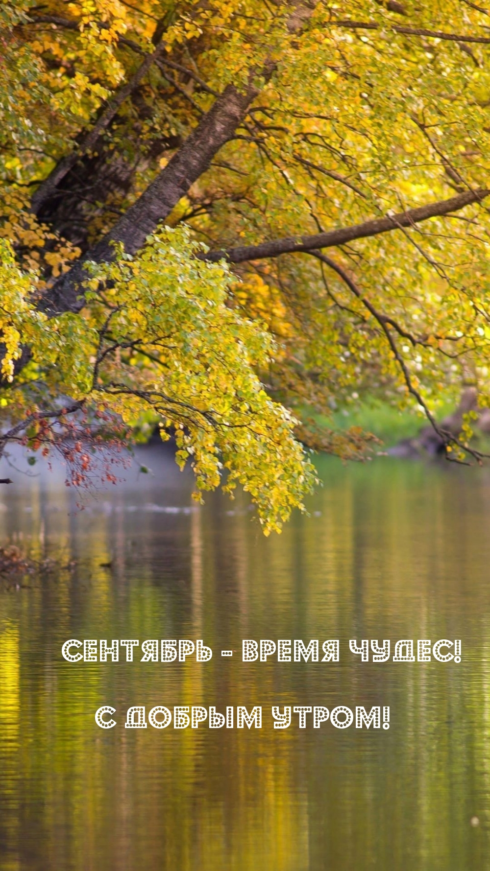 Сентябрь — время чудес! С добрым утром!