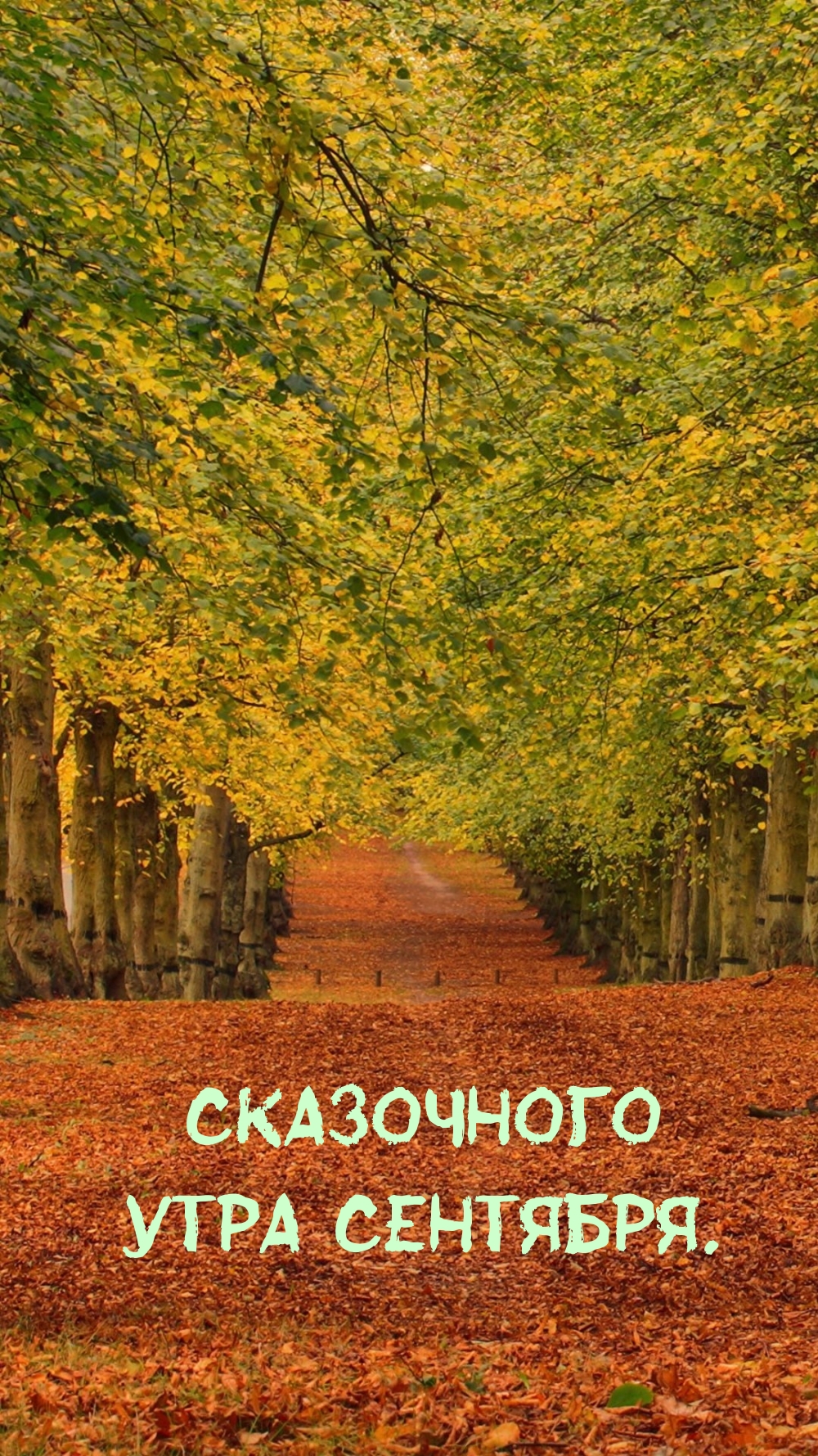 Сказочного утра сентября.